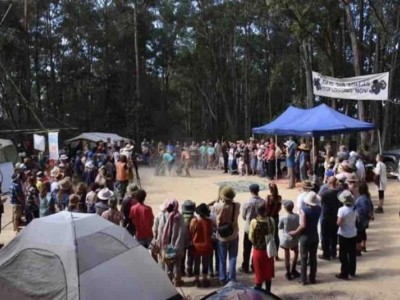 Save Oakes Forest & our Koalas